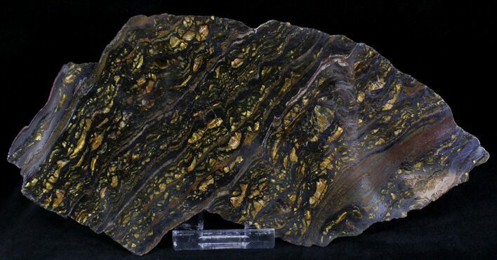 Banded Tiger Iron Stromatolite - Australia ( Billion Years) #22493
